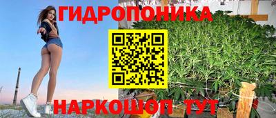 стафф Чапаевск