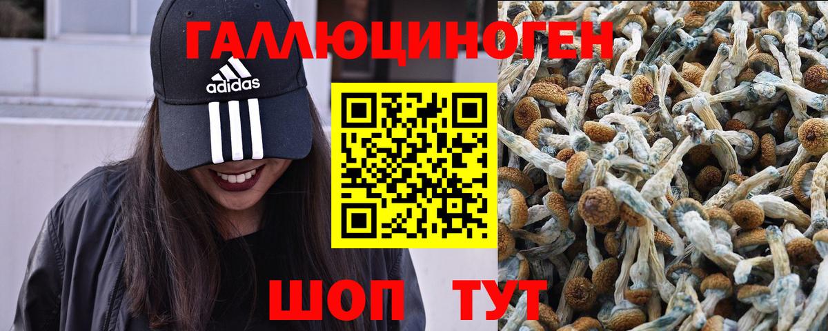 Псилоцибиновые грибы мухоморы Ачинск