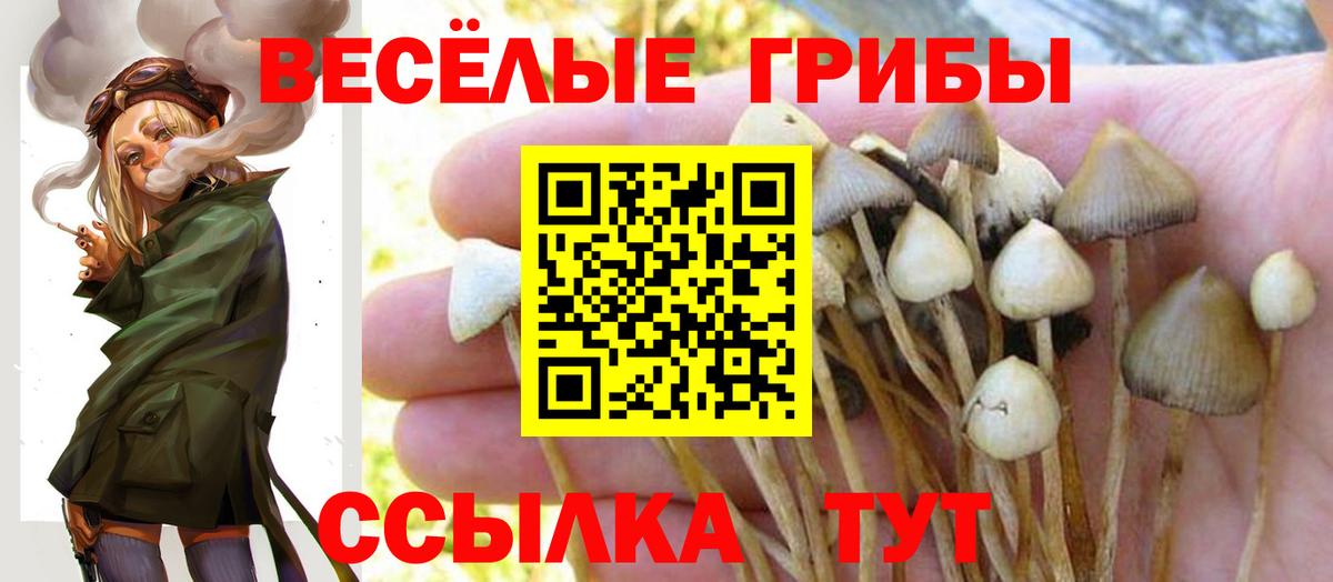 Галлюциногенные грибы Psilocybine cubensis  купить наркотик  Ачинск  Вход с VPN 